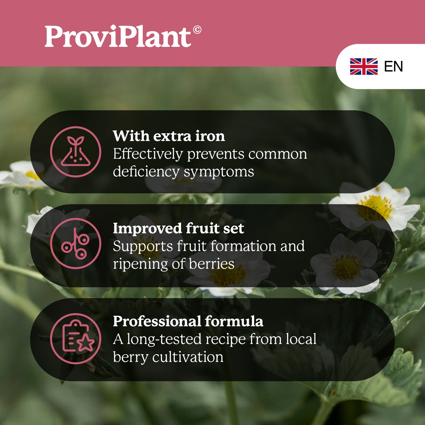 Berry fruit fertilizer