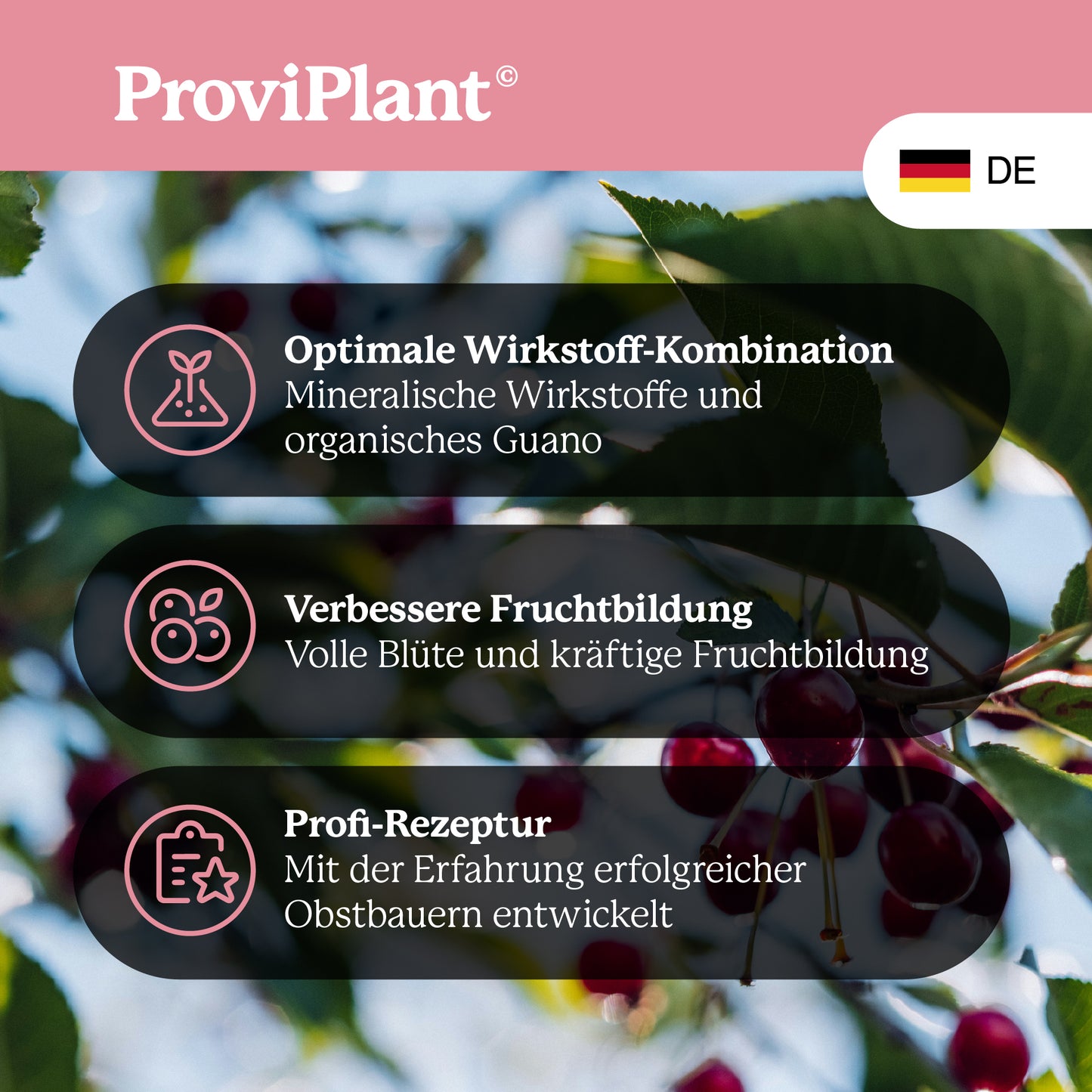Engrais pour arbres fruitiers
