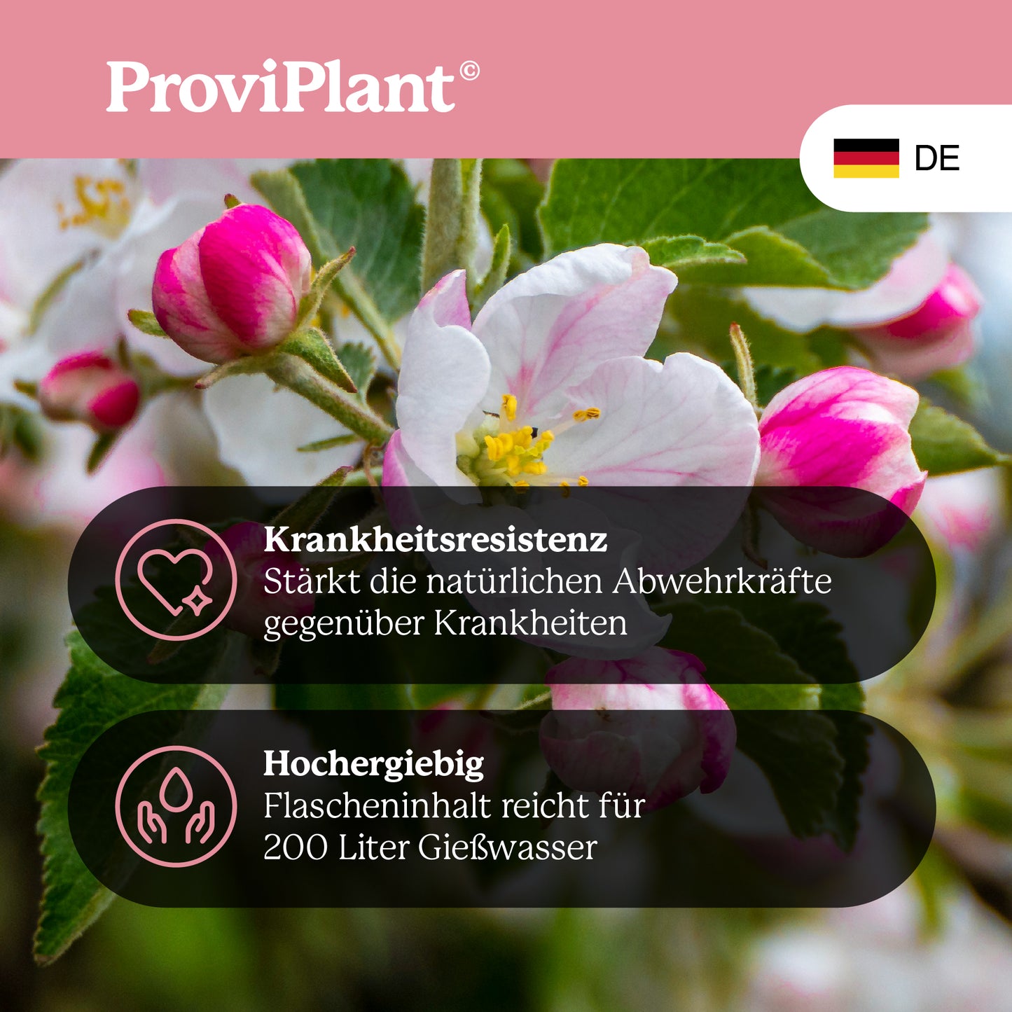 Engrais pour arbres fruitiers