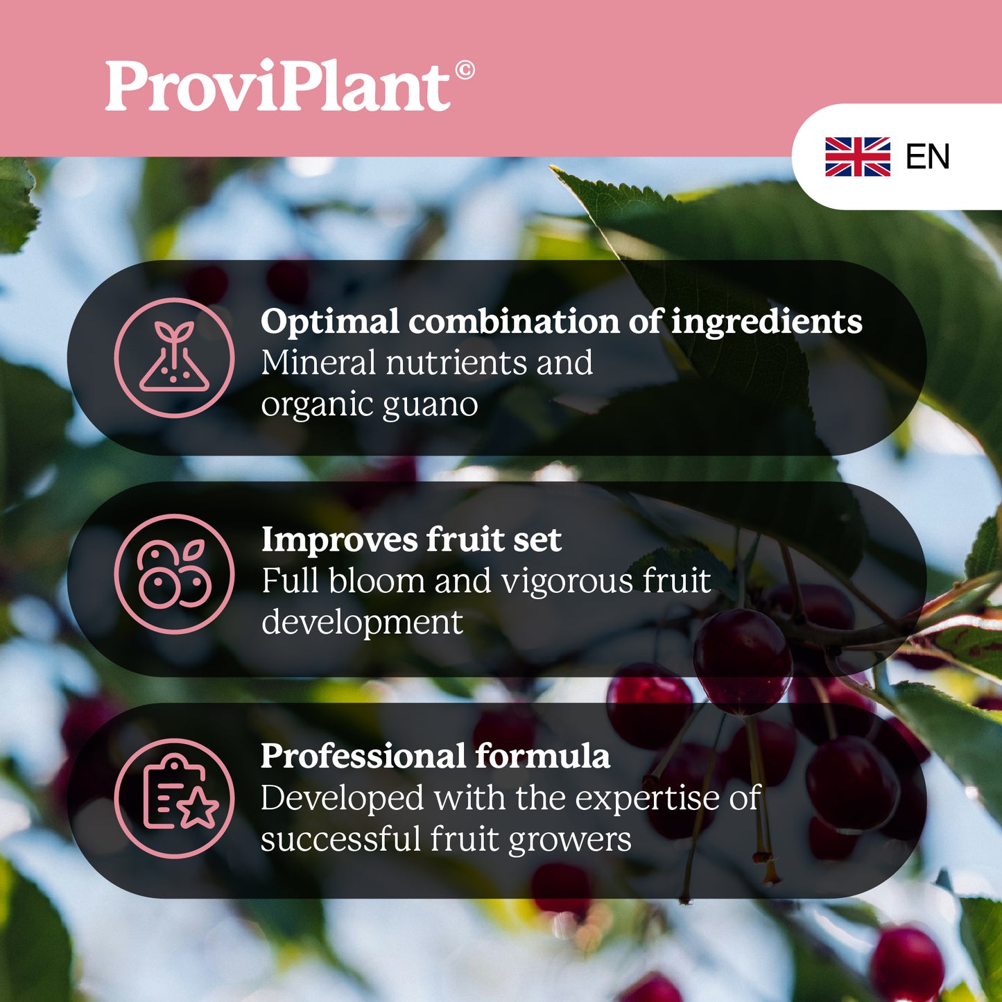Engrais pour arbres fruitiers