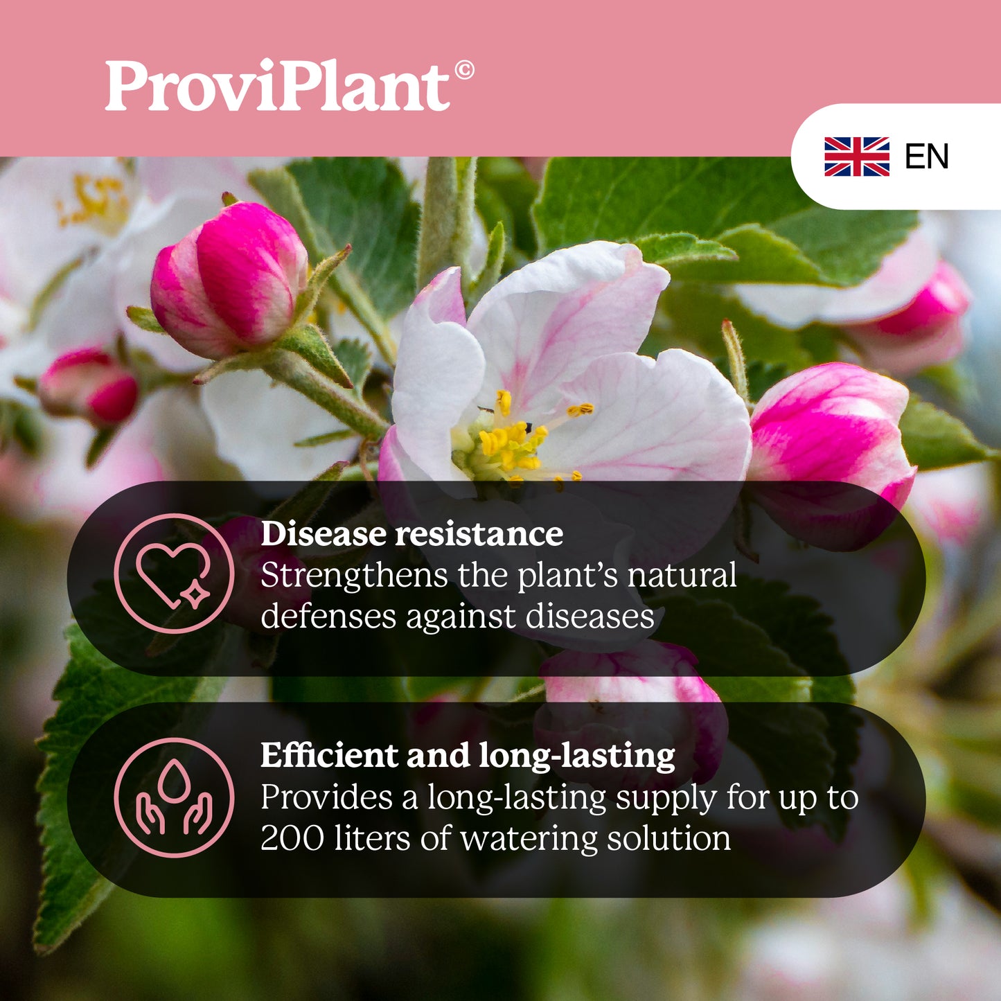 Engrais pour arbres fruitiers