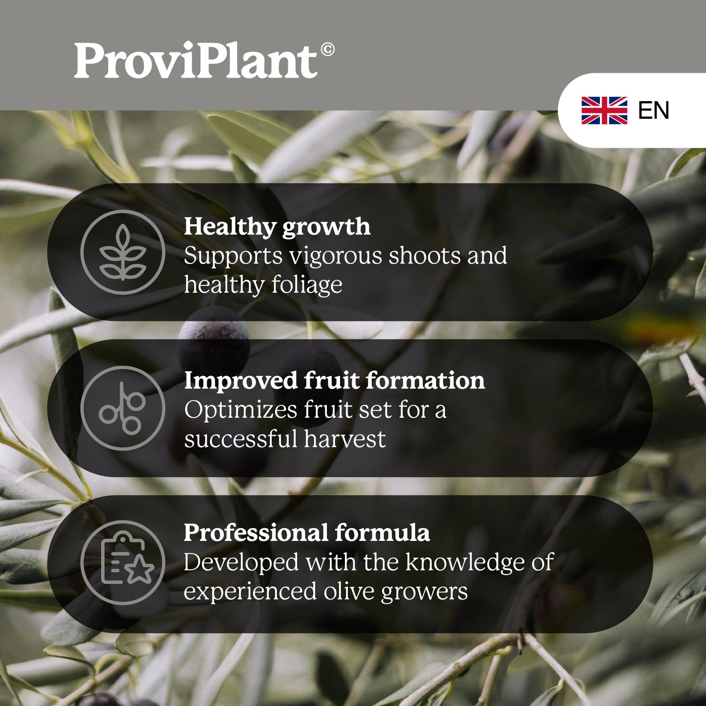 Engrais pour olives