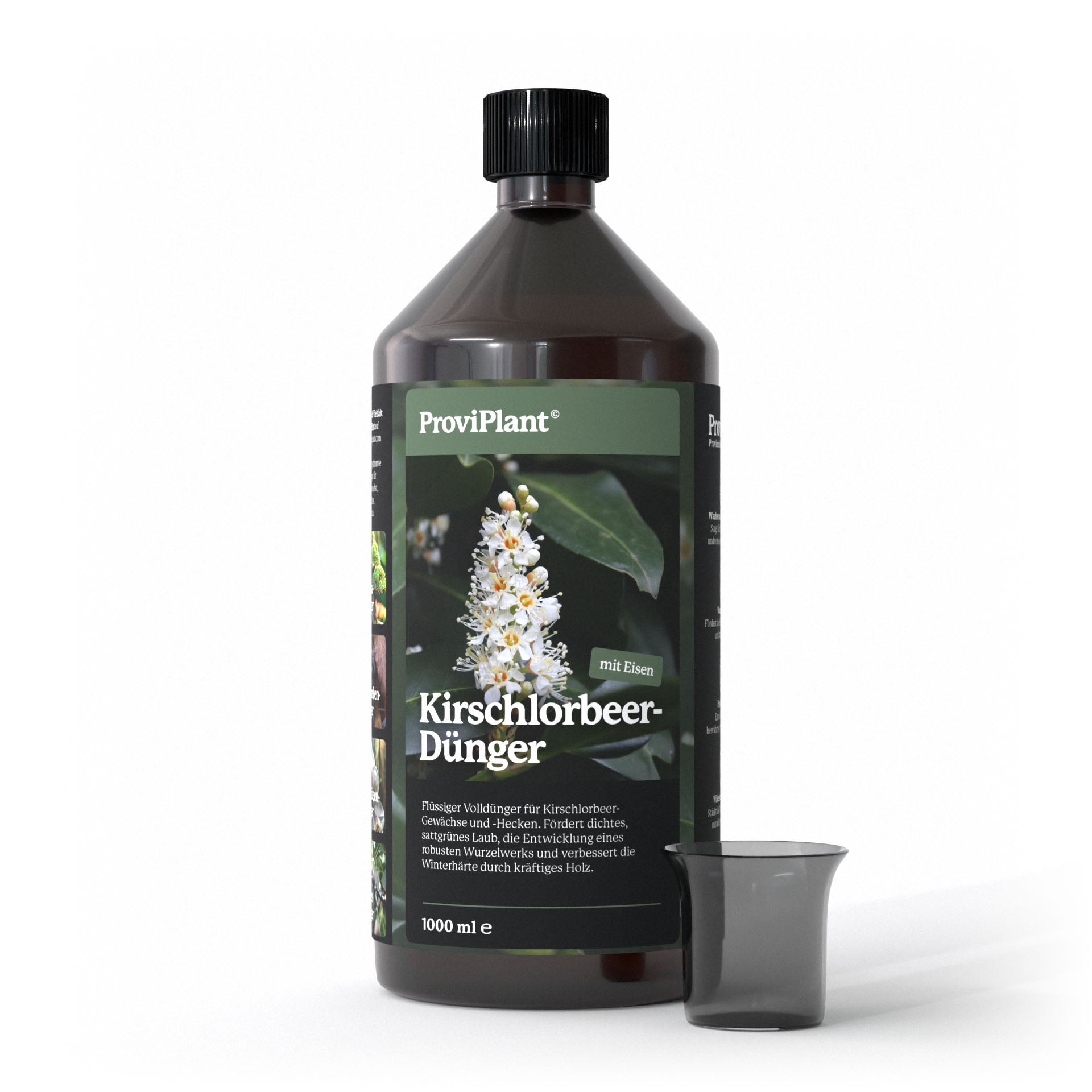 fertilizer for laurel plants ProviPlant Cherry Laurel Fertilizer: For all laurel hedges and shrubs