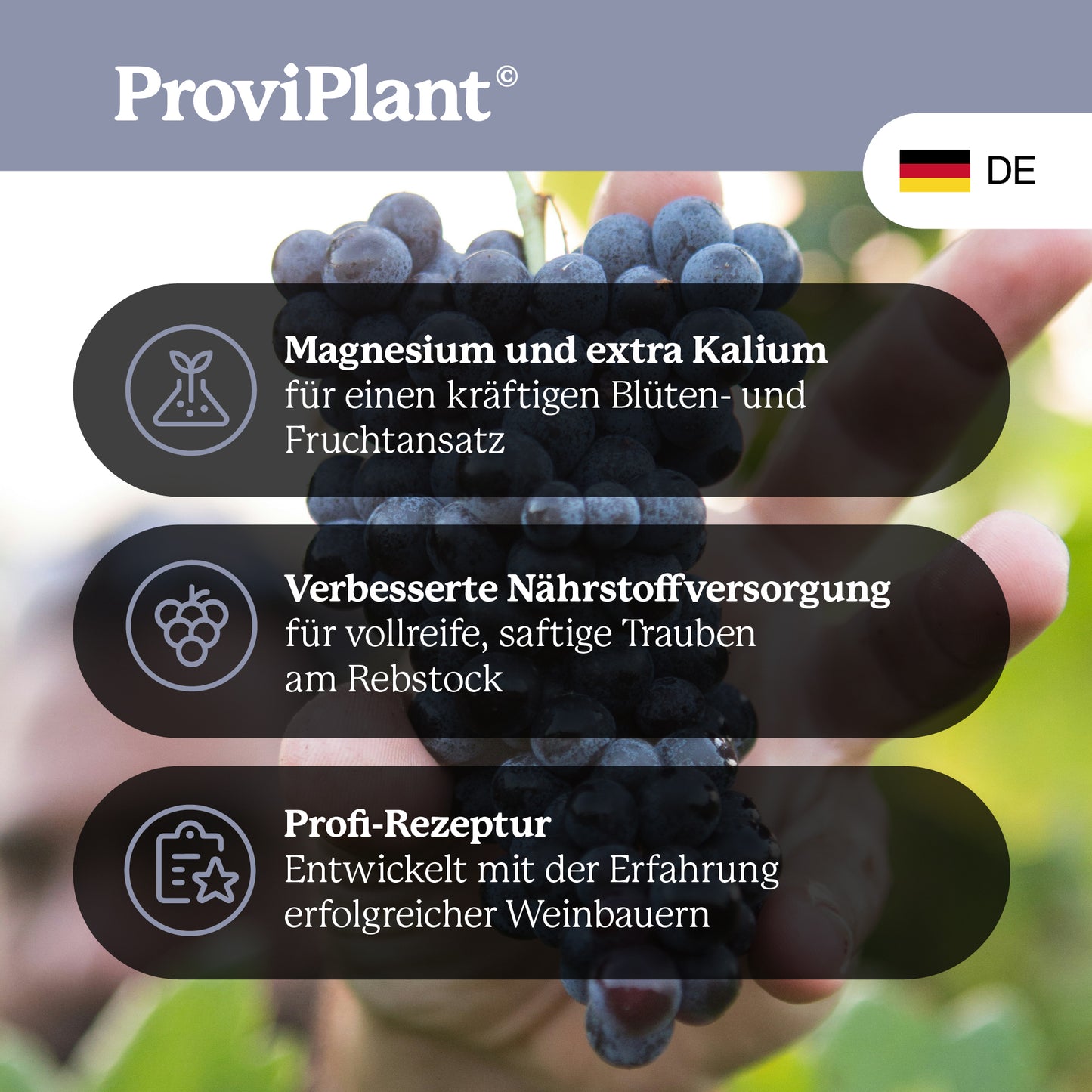Grapevine fertilizer