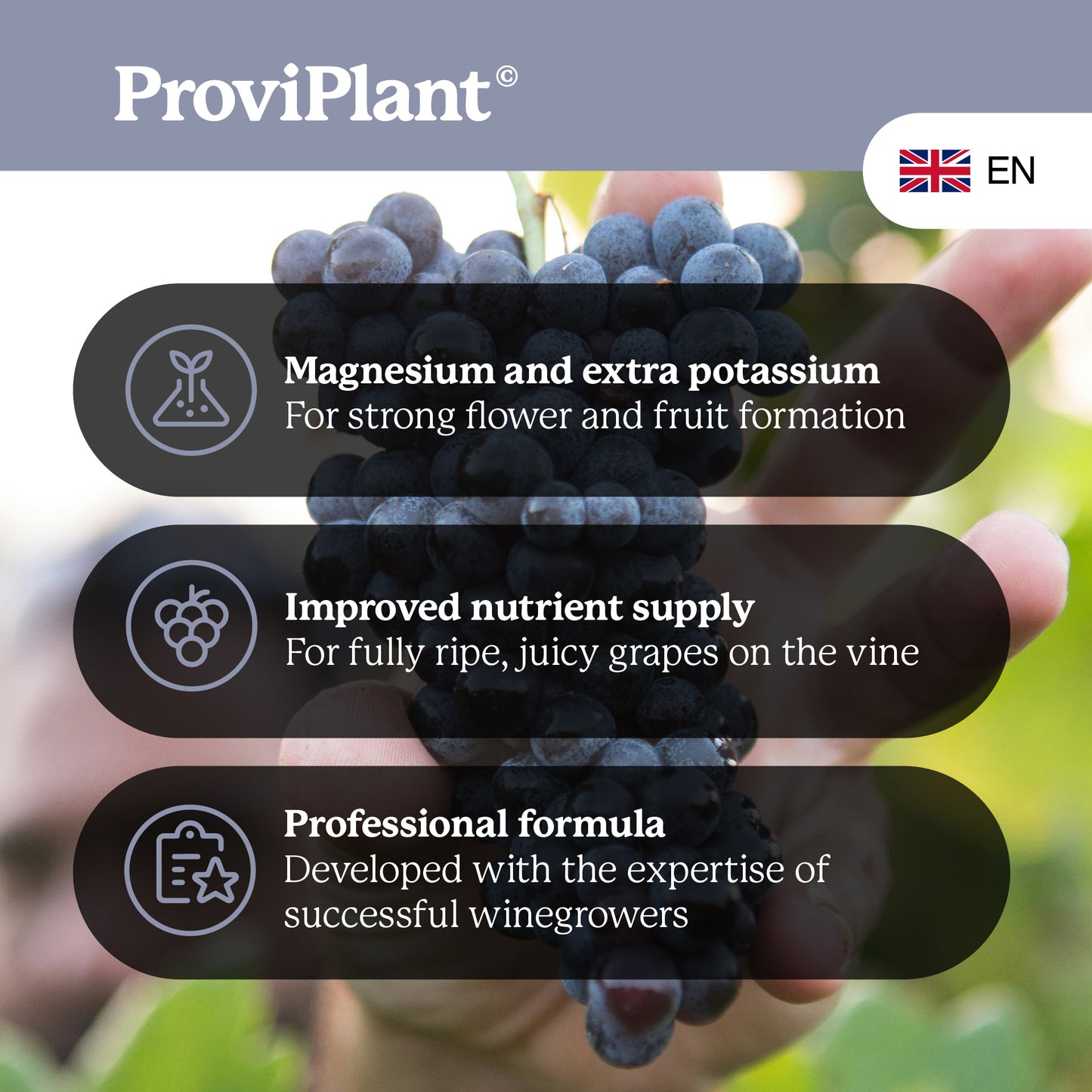 Grapevine fertilizer