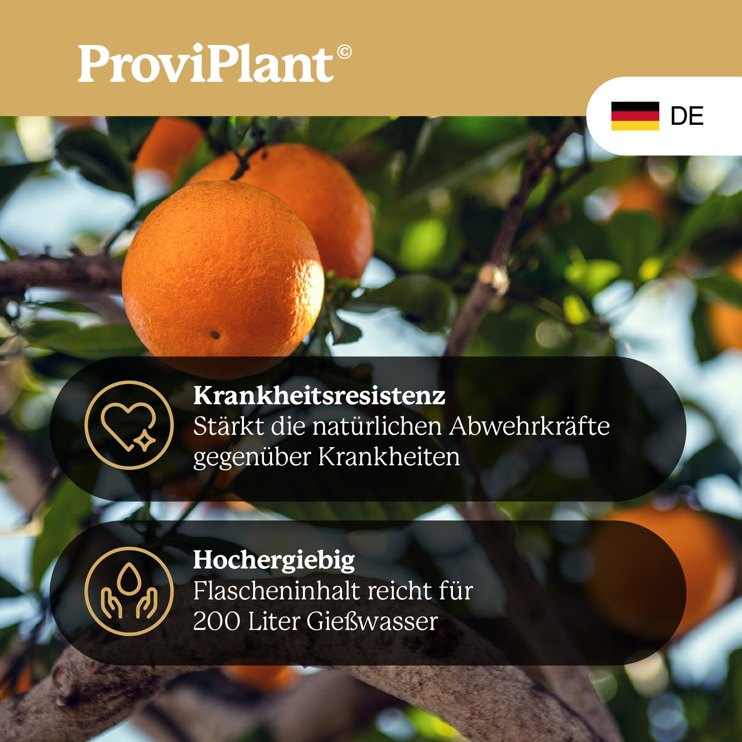 Citrus fertilizer