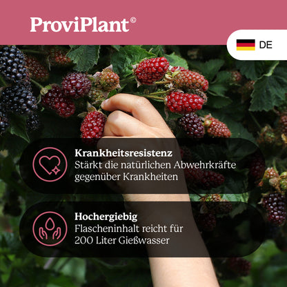 Berry fruit fertilizer