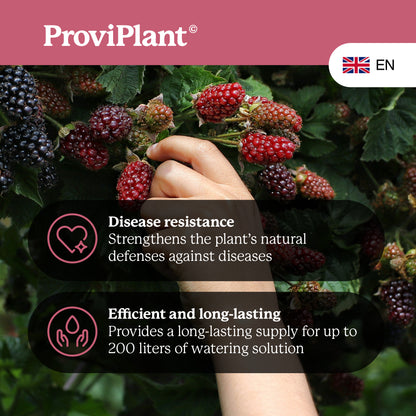 Berry fruit fertilizer