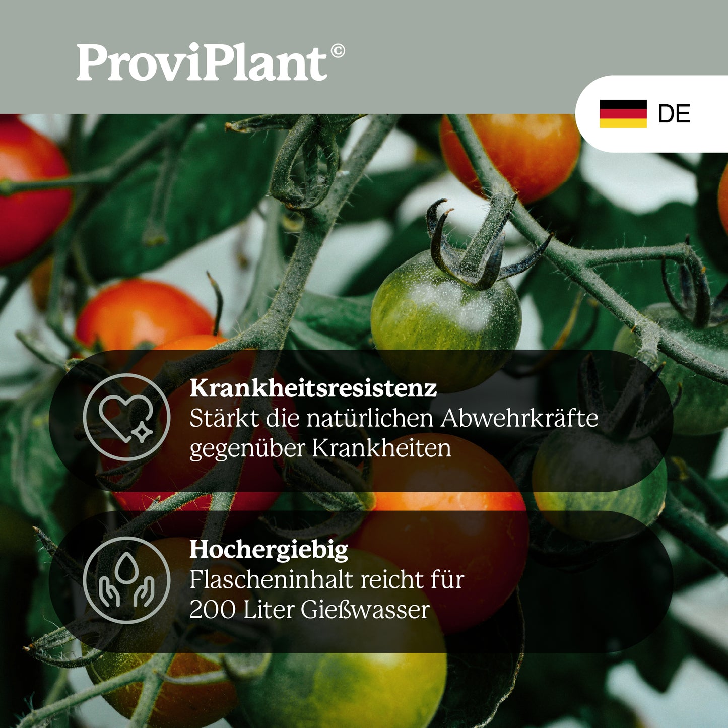 BIO-Vinasse-Dünger