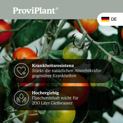 BIO-Vinasse-Dünger