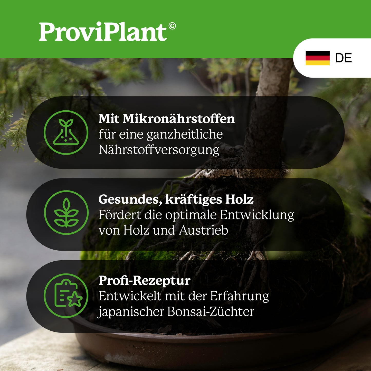 Bonsai fertilizer
