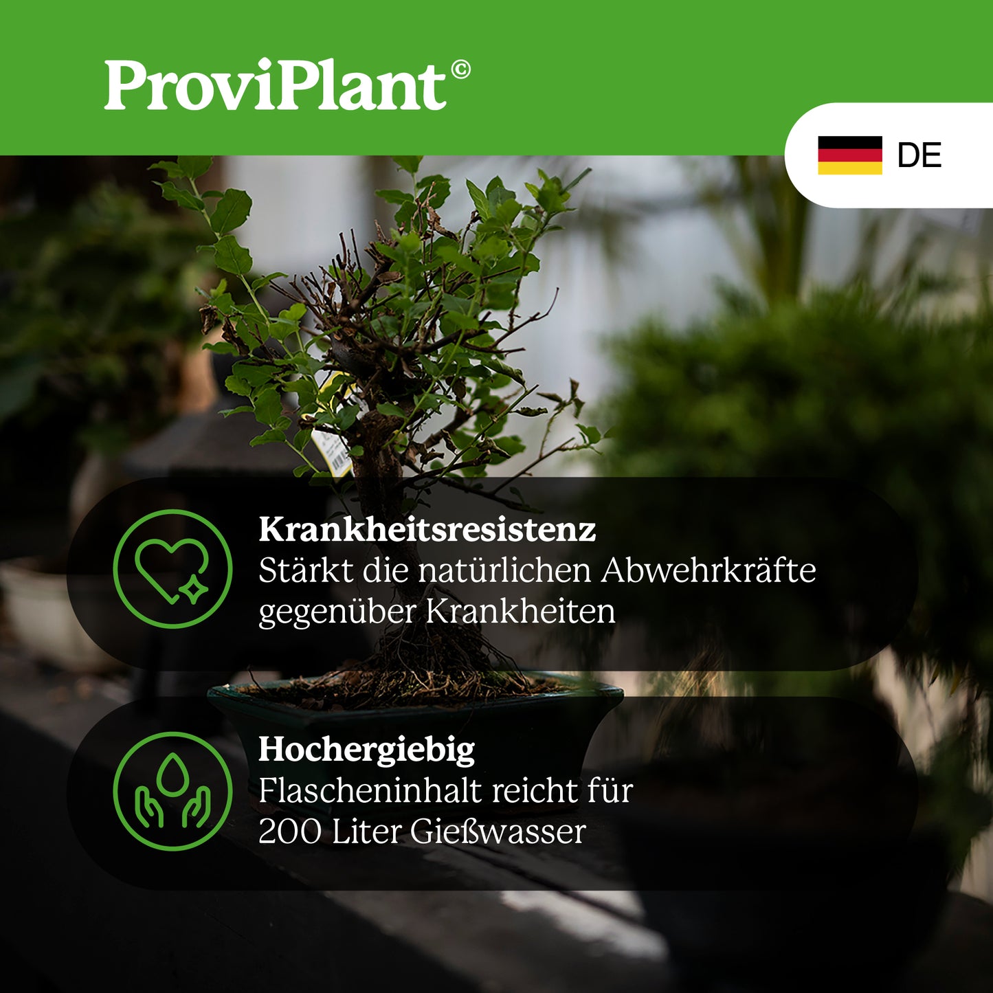 Bonsai fertilizer