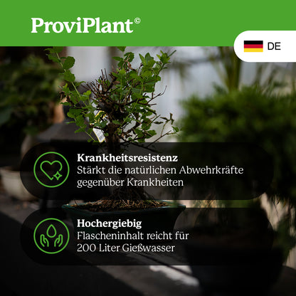 Bonsai fertilizer