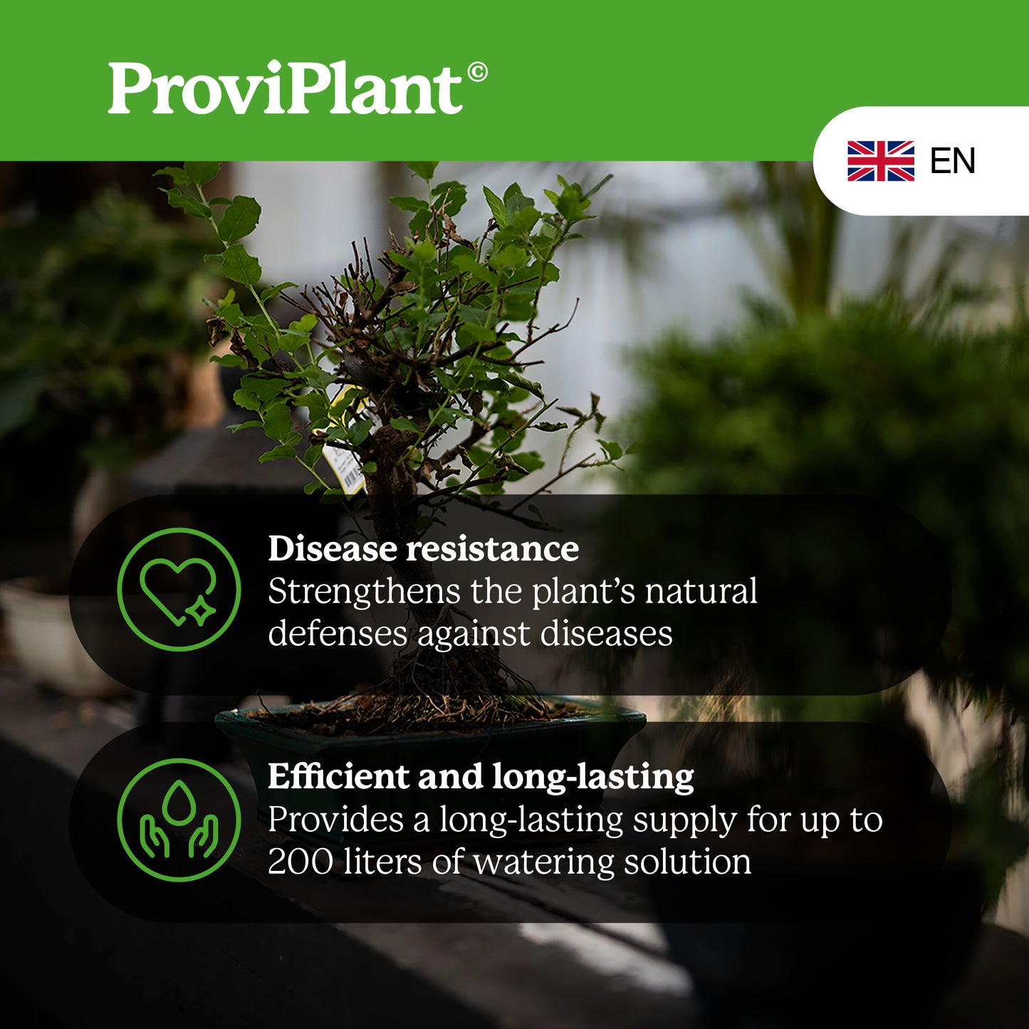 Bonsai fertilizer