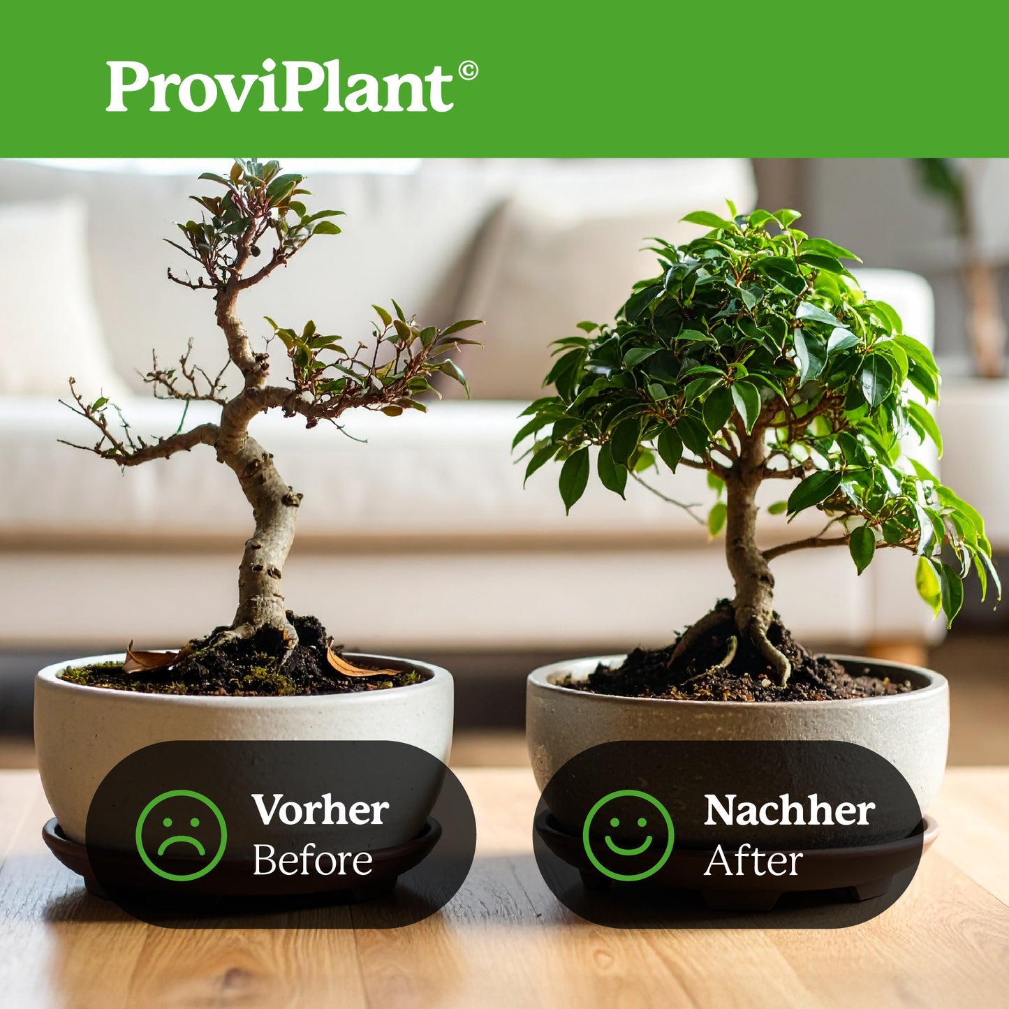 Bonsai fertilizer