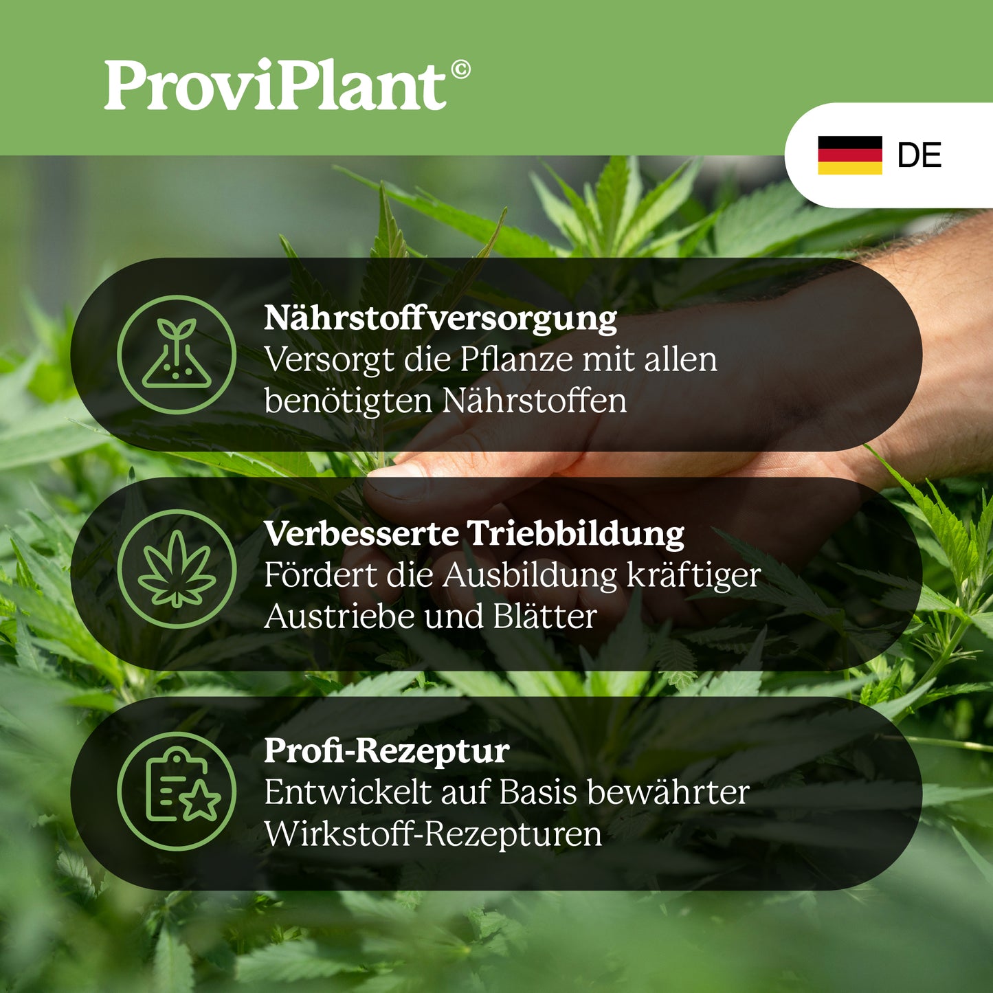 Cannabis-Grow-Dünger