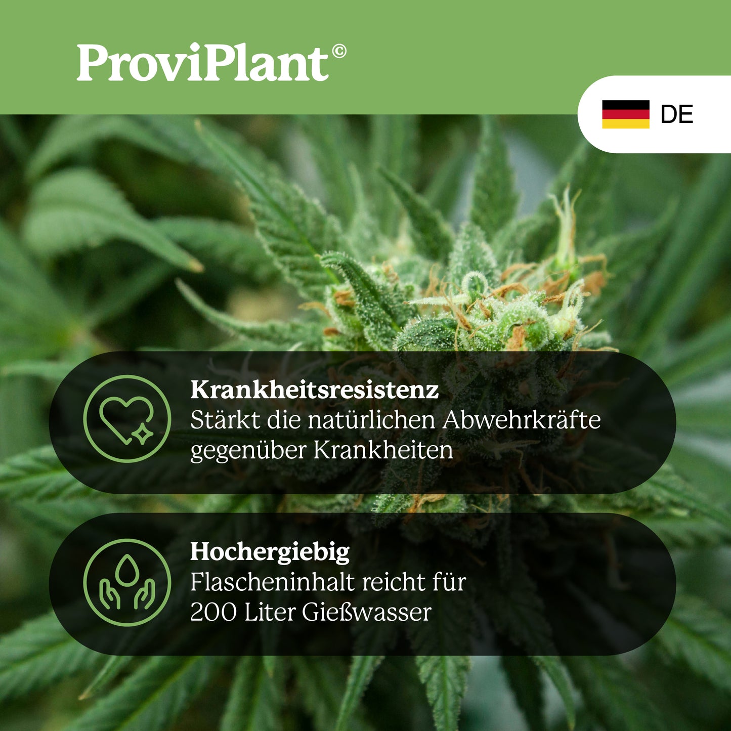 Cannabis-Grow-Dünger