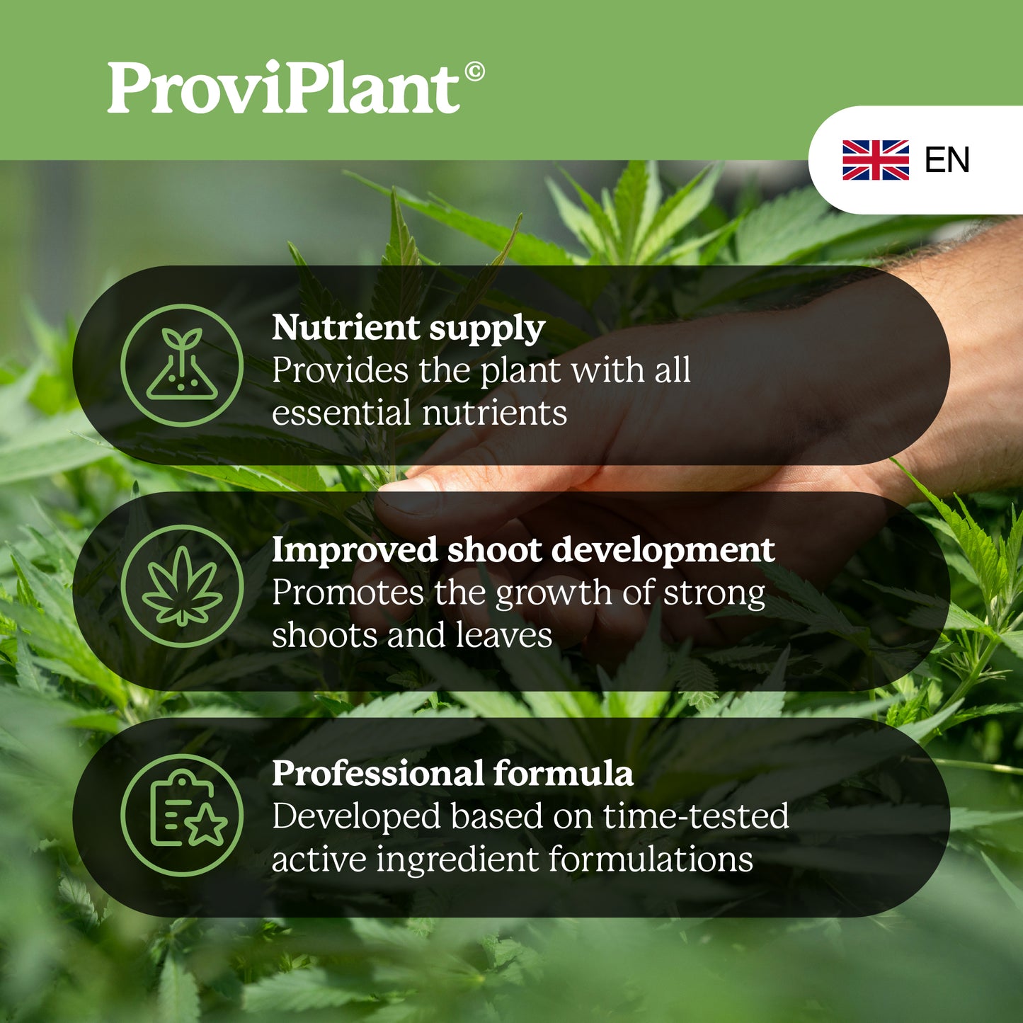 Cannabis-Grow-Dünger