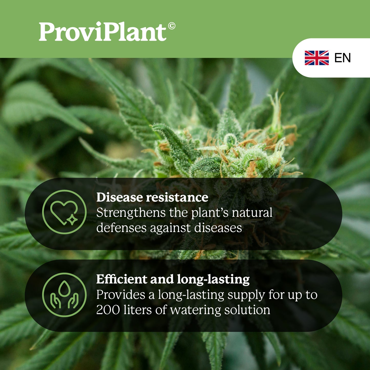Cannabis-Grow-Dünger