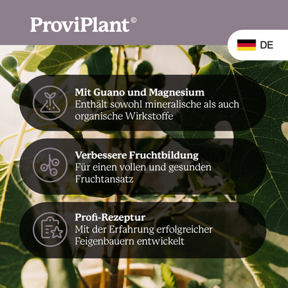 Fig fertilizer