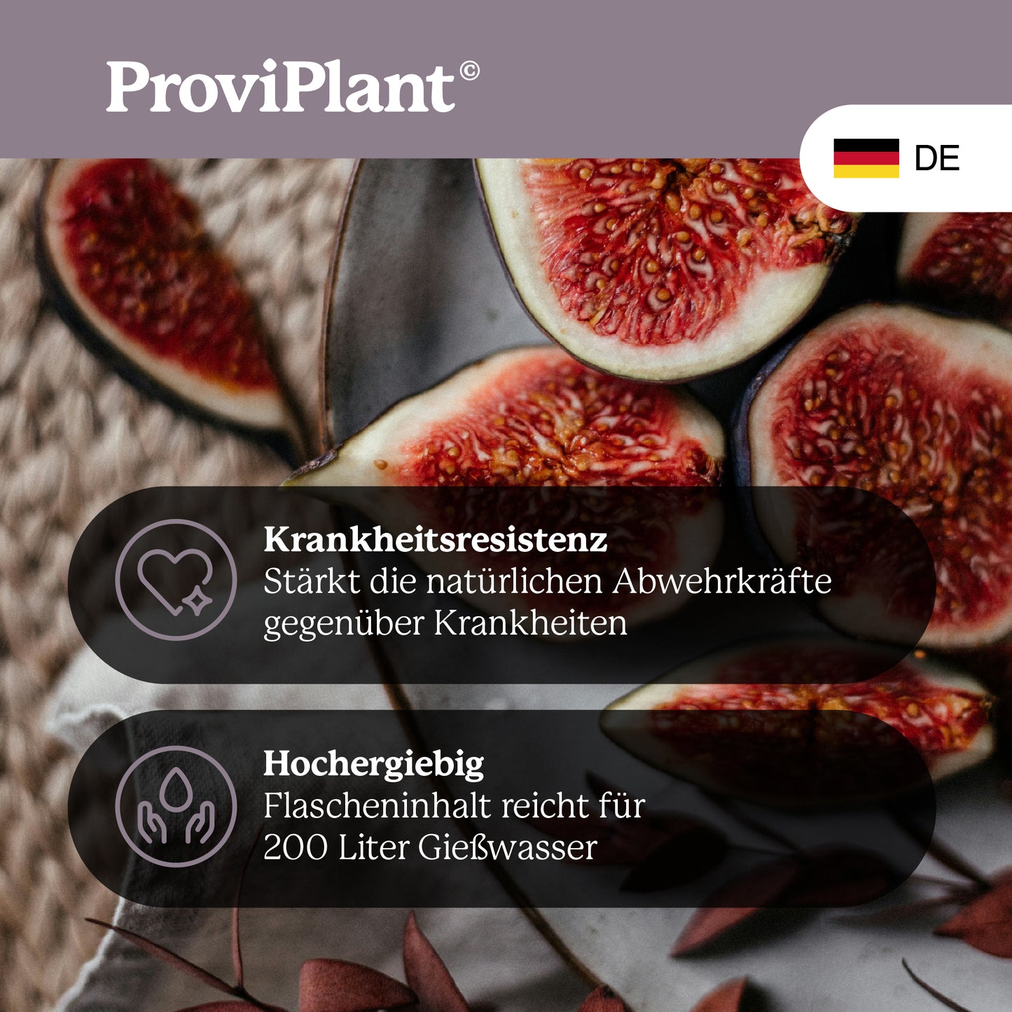 Fig fertilizer