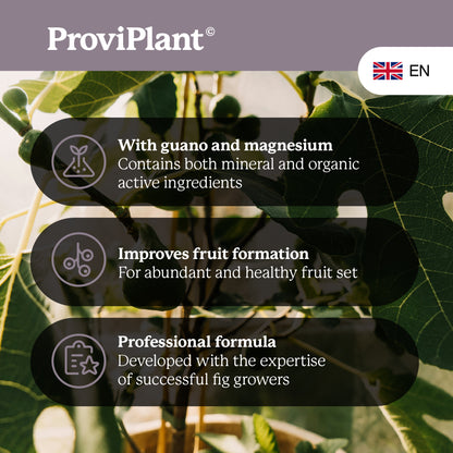 Fig fertilizer
