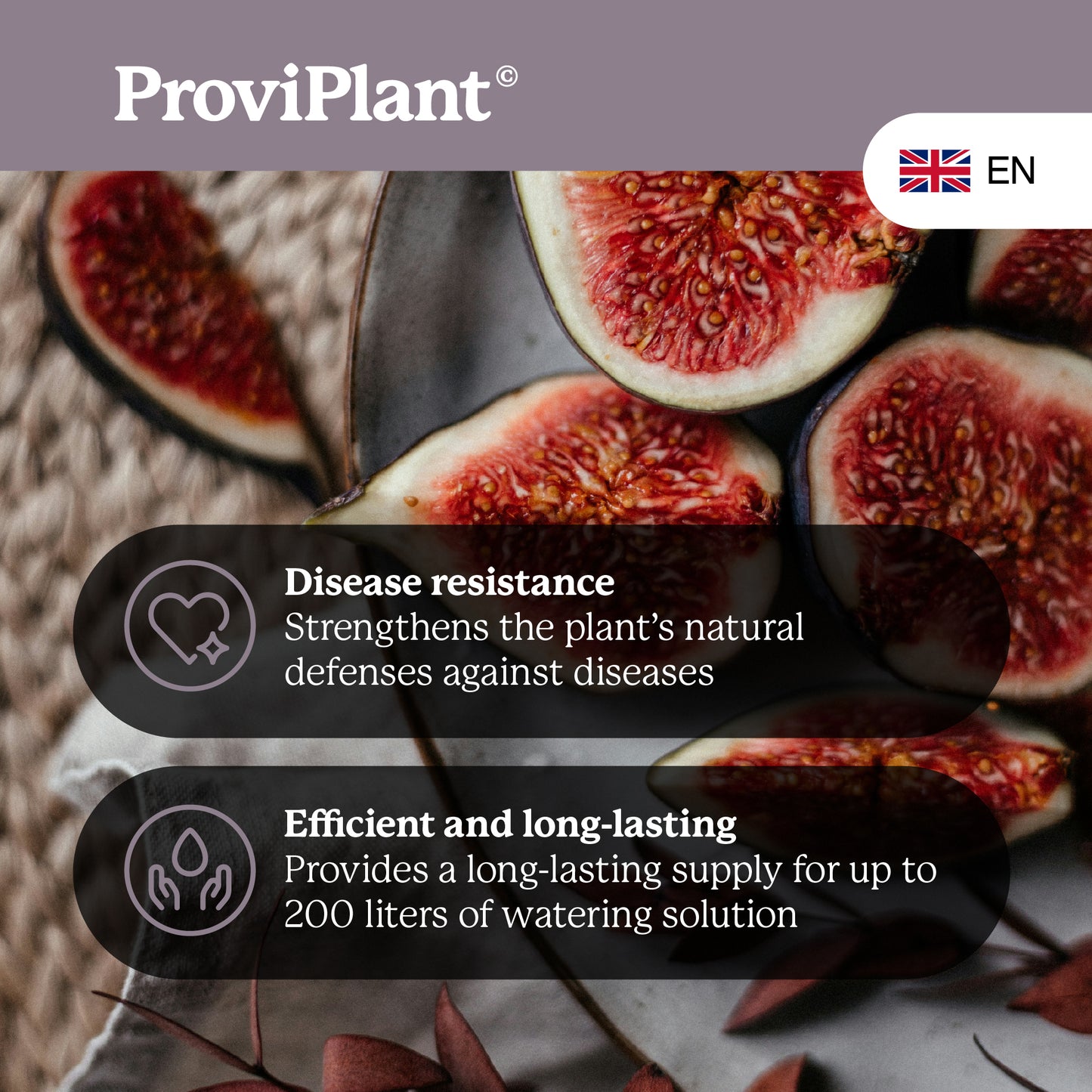 Fig fertilizer