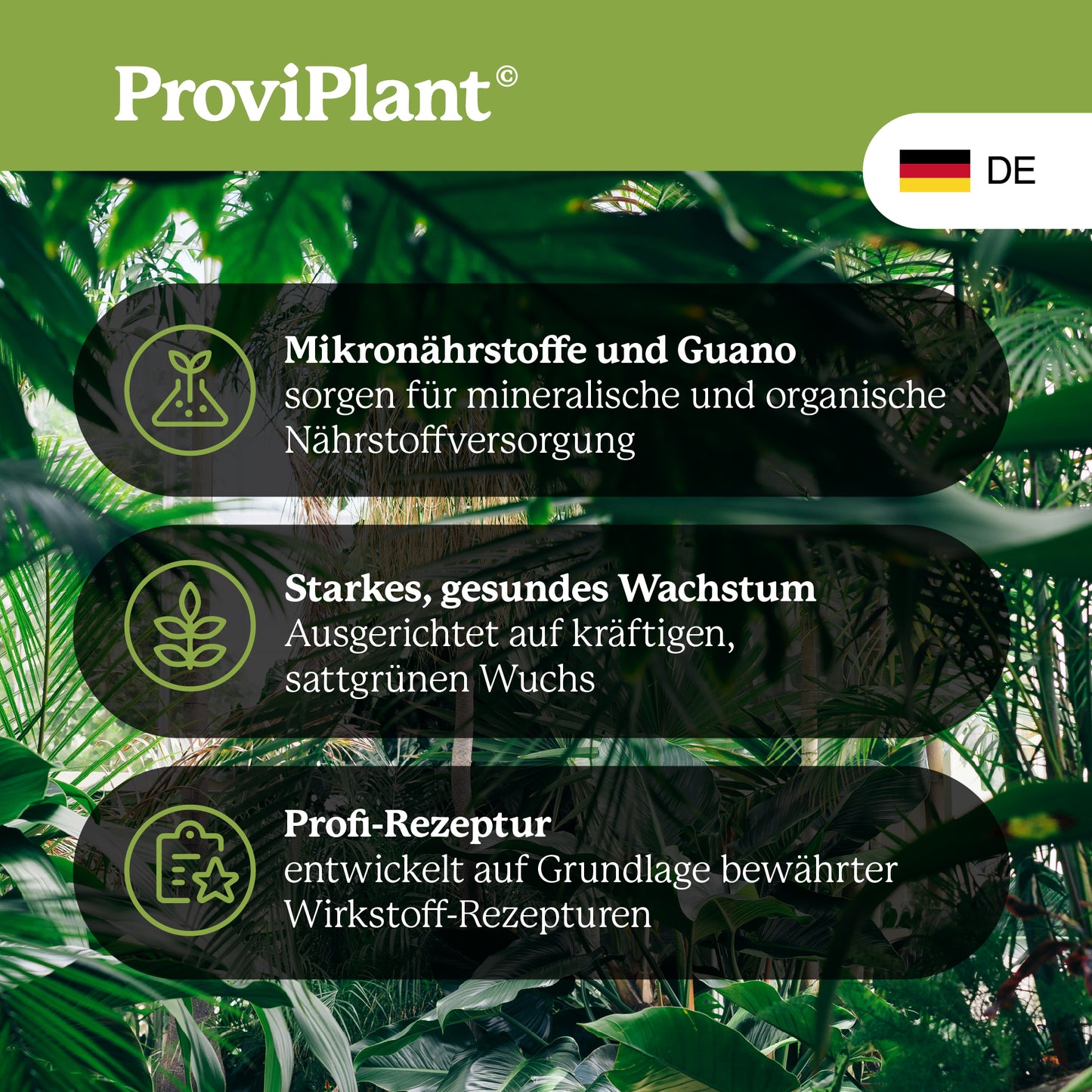 Green plant fertilizer