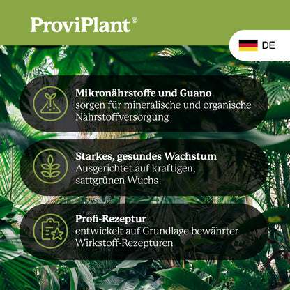 Green plant fertilizer