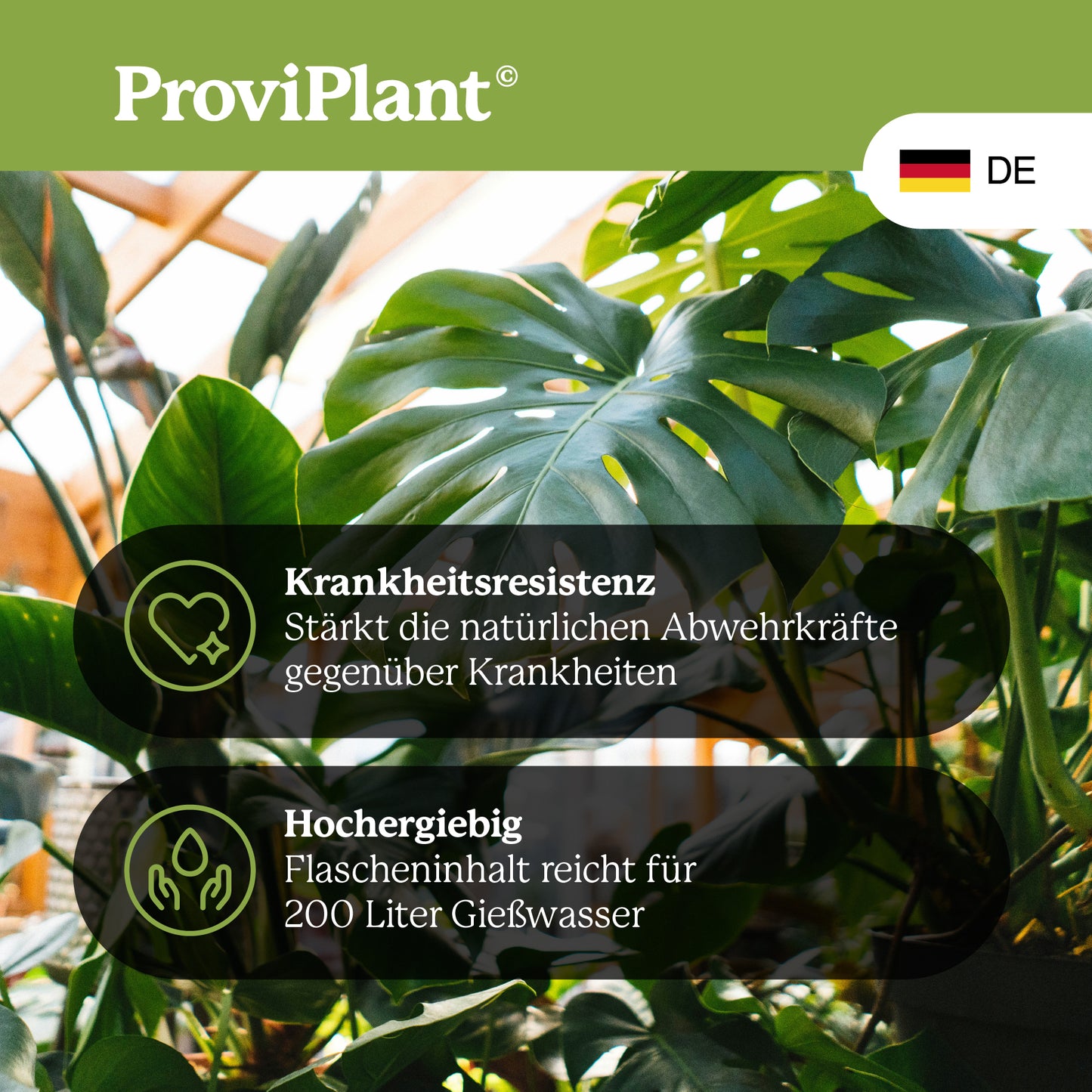 Green plant fertilizer