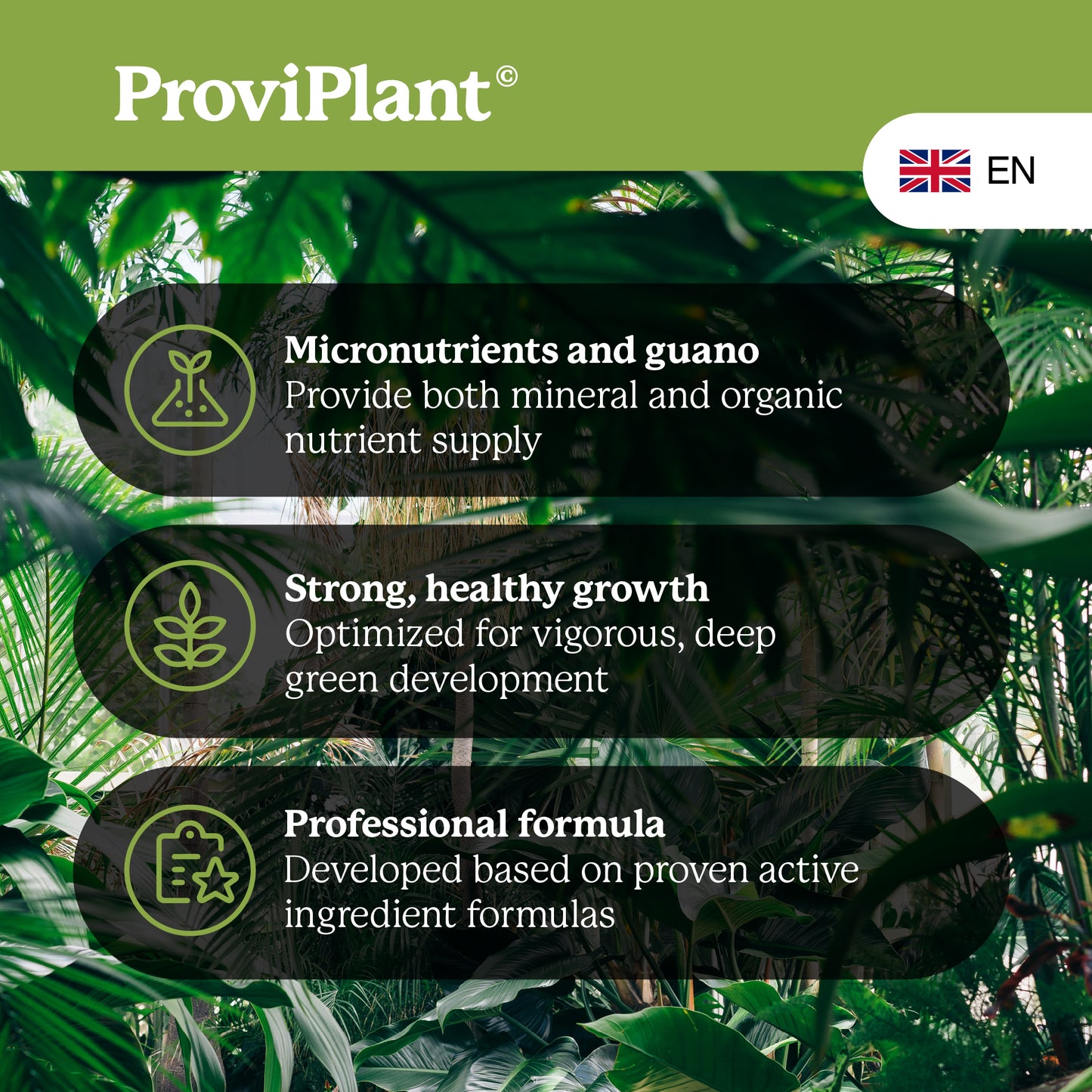 Green plant fertilizer
