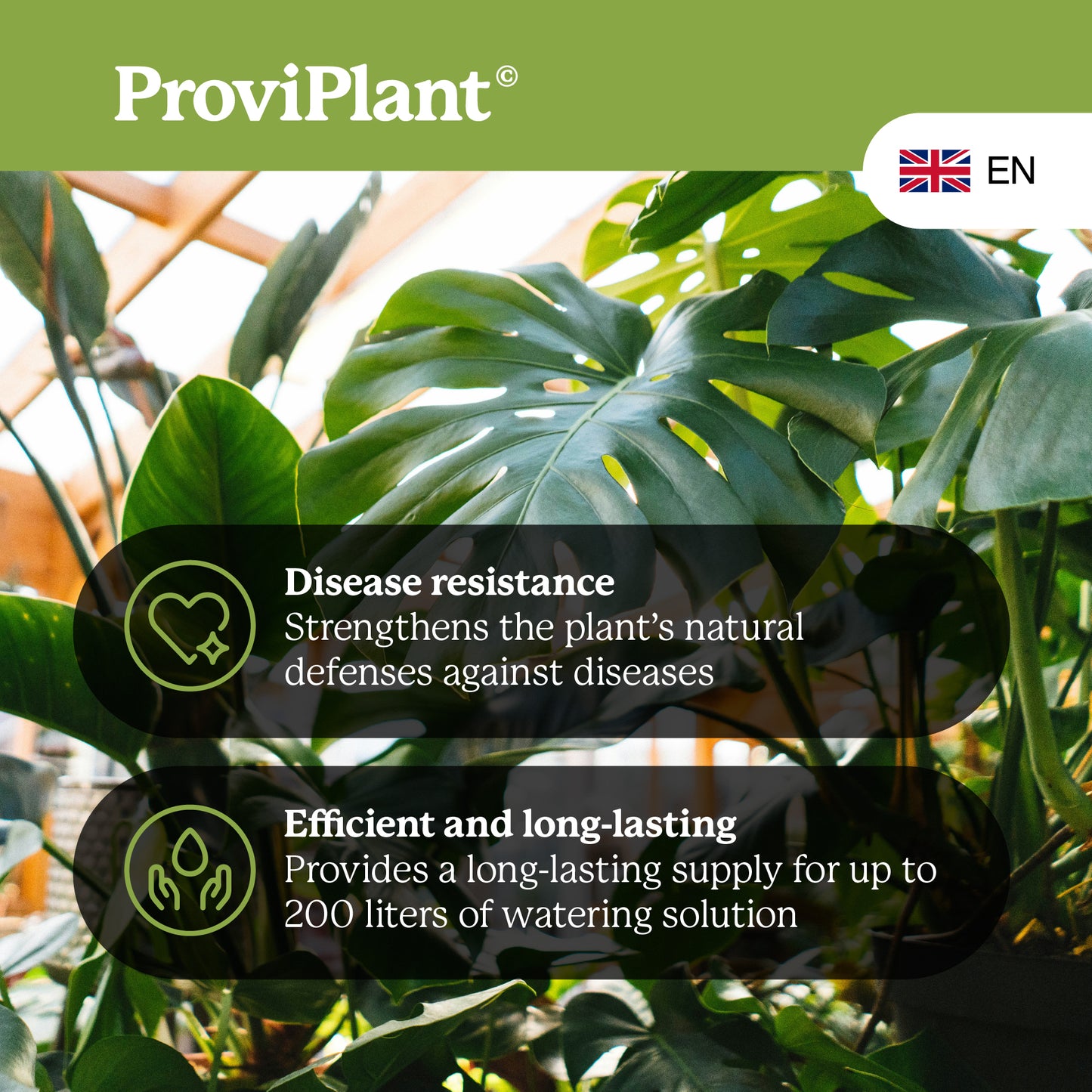 Green plant fertilizer
