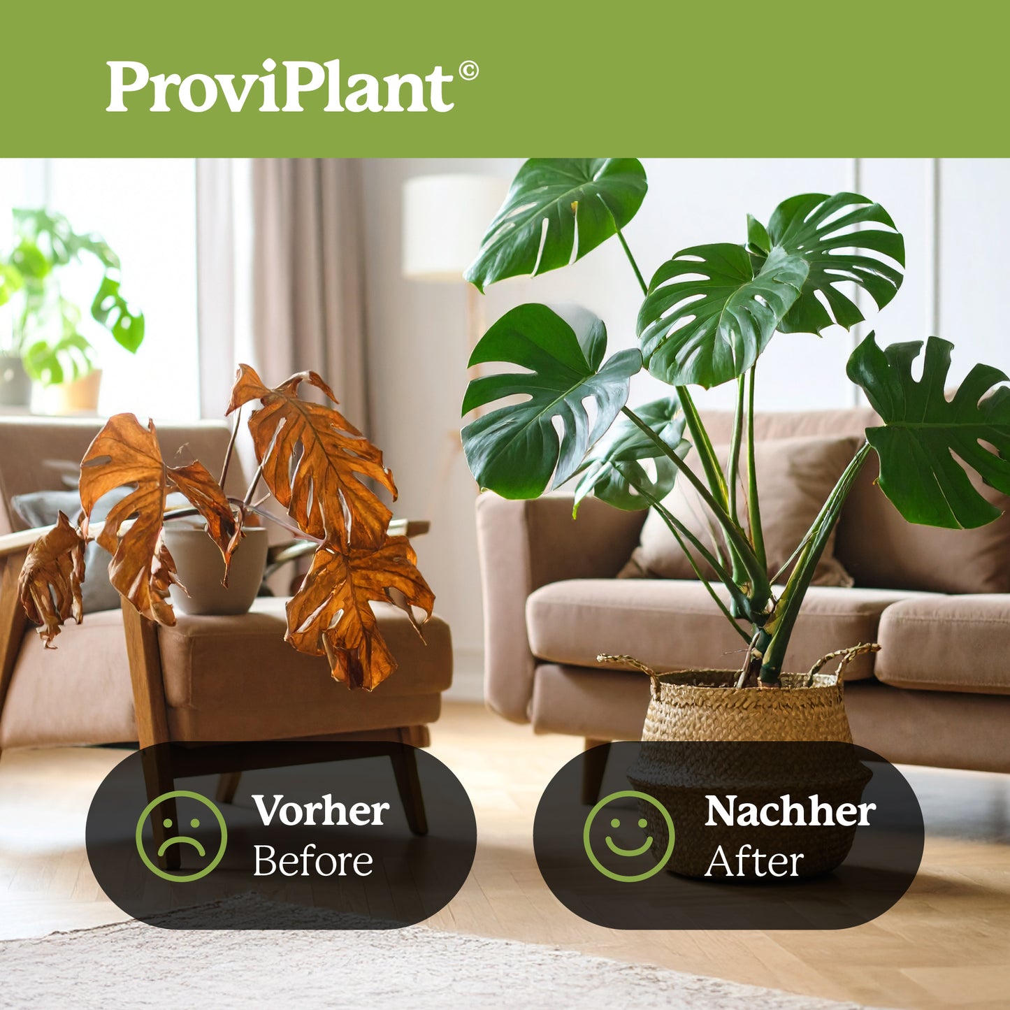 Green plant fertilizer