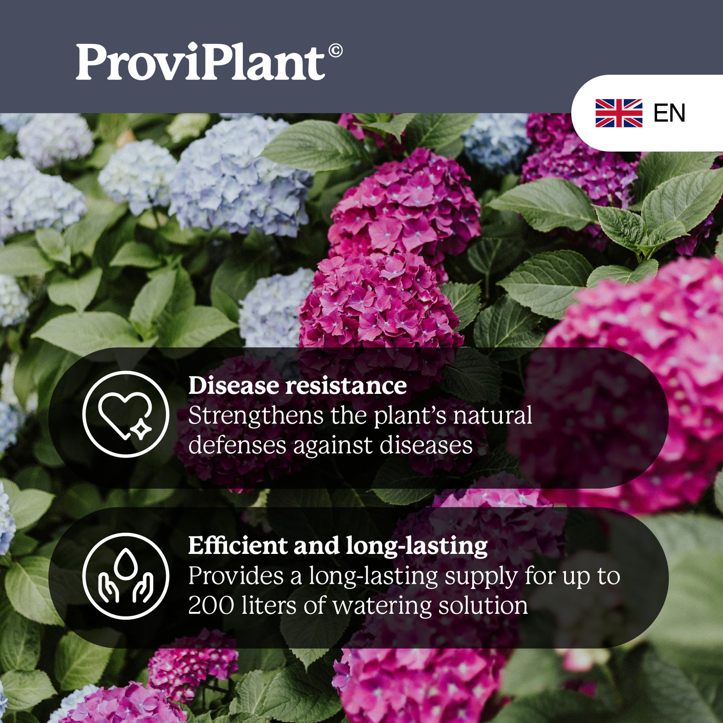 Hydrangea fertilizer