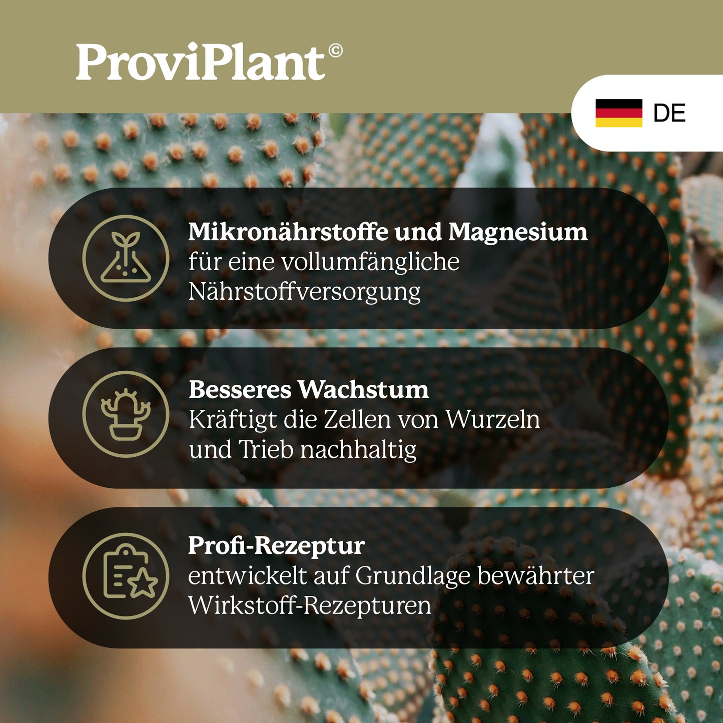 Cactus fertilizer