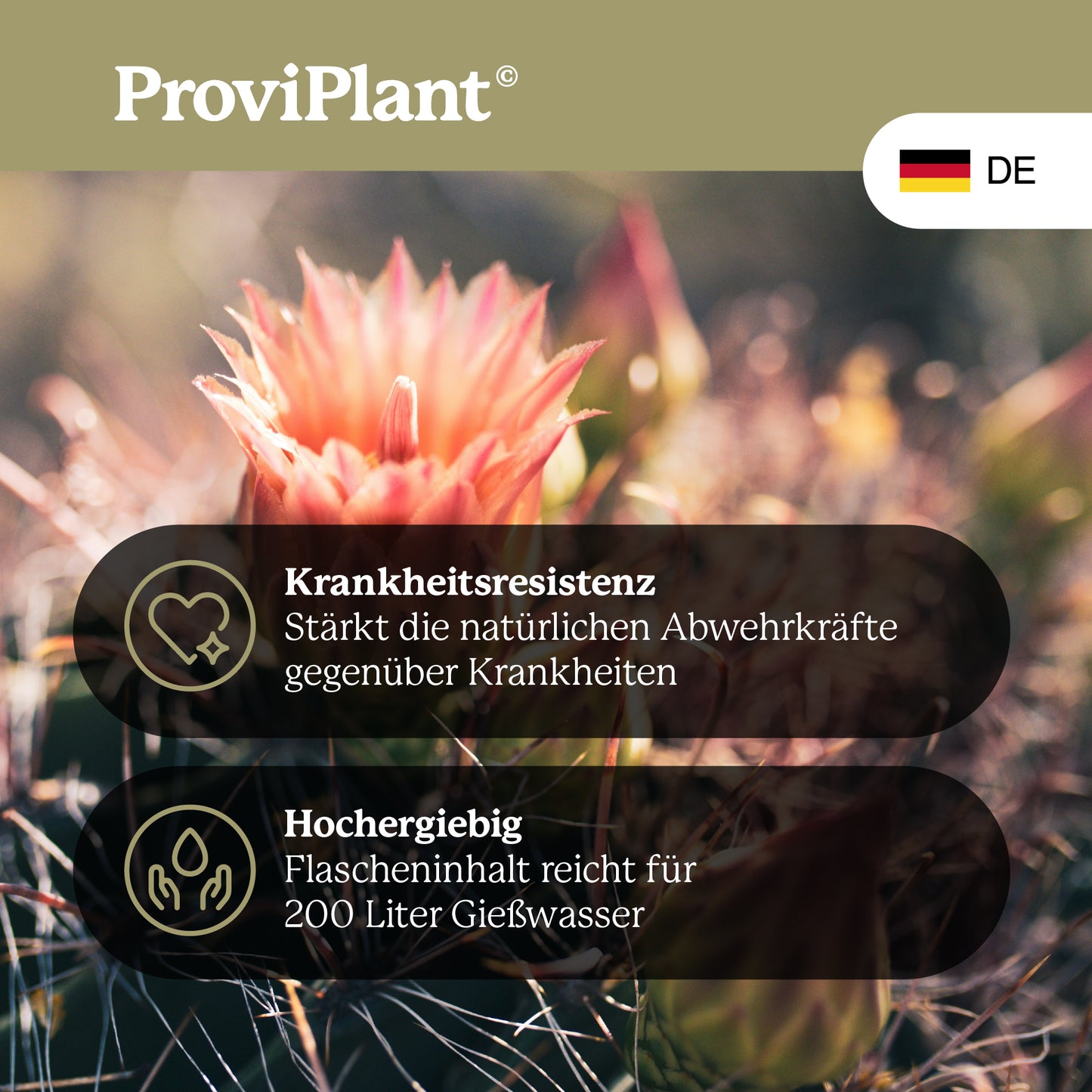Cactus fertilizer