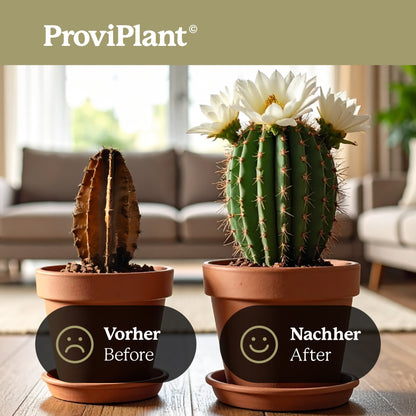 ProviPlant Kakteen-Dünger: Für Indoor & Outdoor Kakteen & Sukkulenten