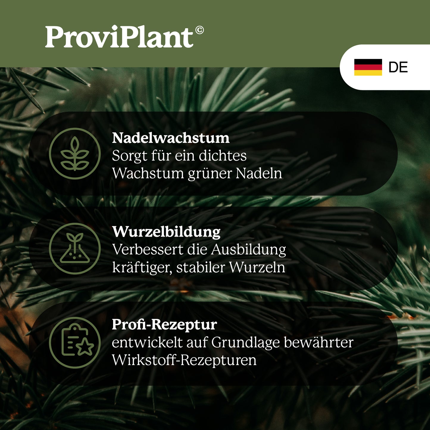 Conifer fertilizer
