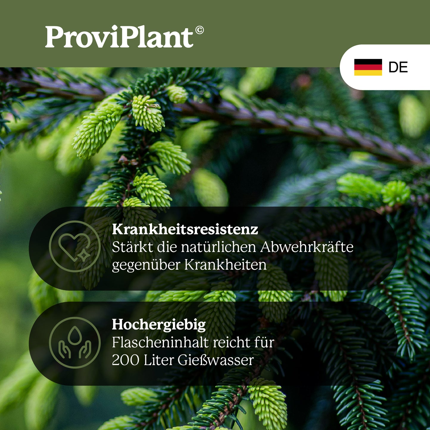 Conifer fertilizer
