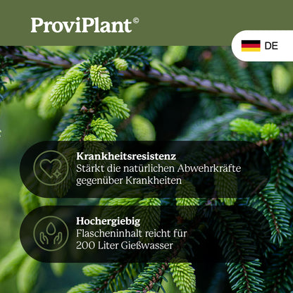 Conifer fertilizer
