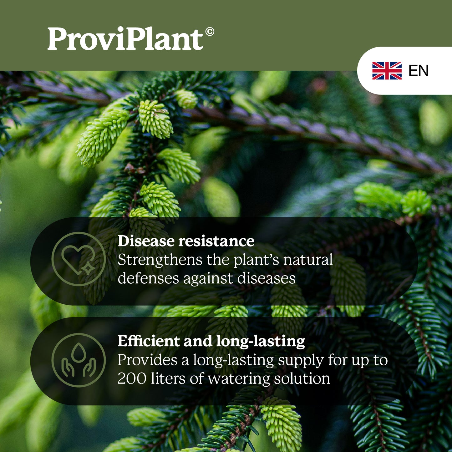 Conifer fertilizer