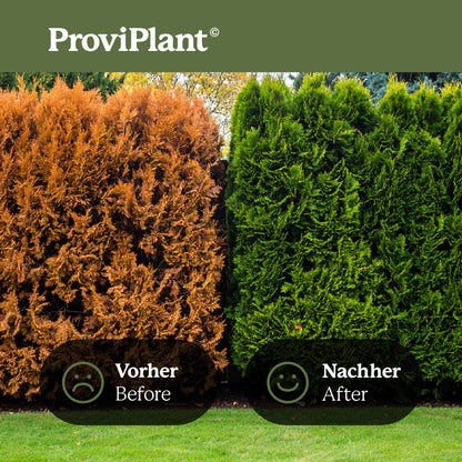 Conifer fertilizer