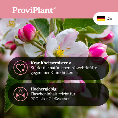 Engrais pour arbres fruitiers