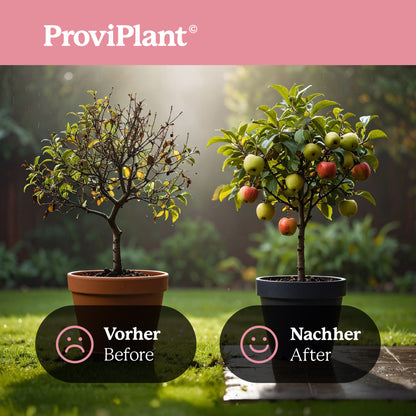 Engrais pour arbres fruitiers