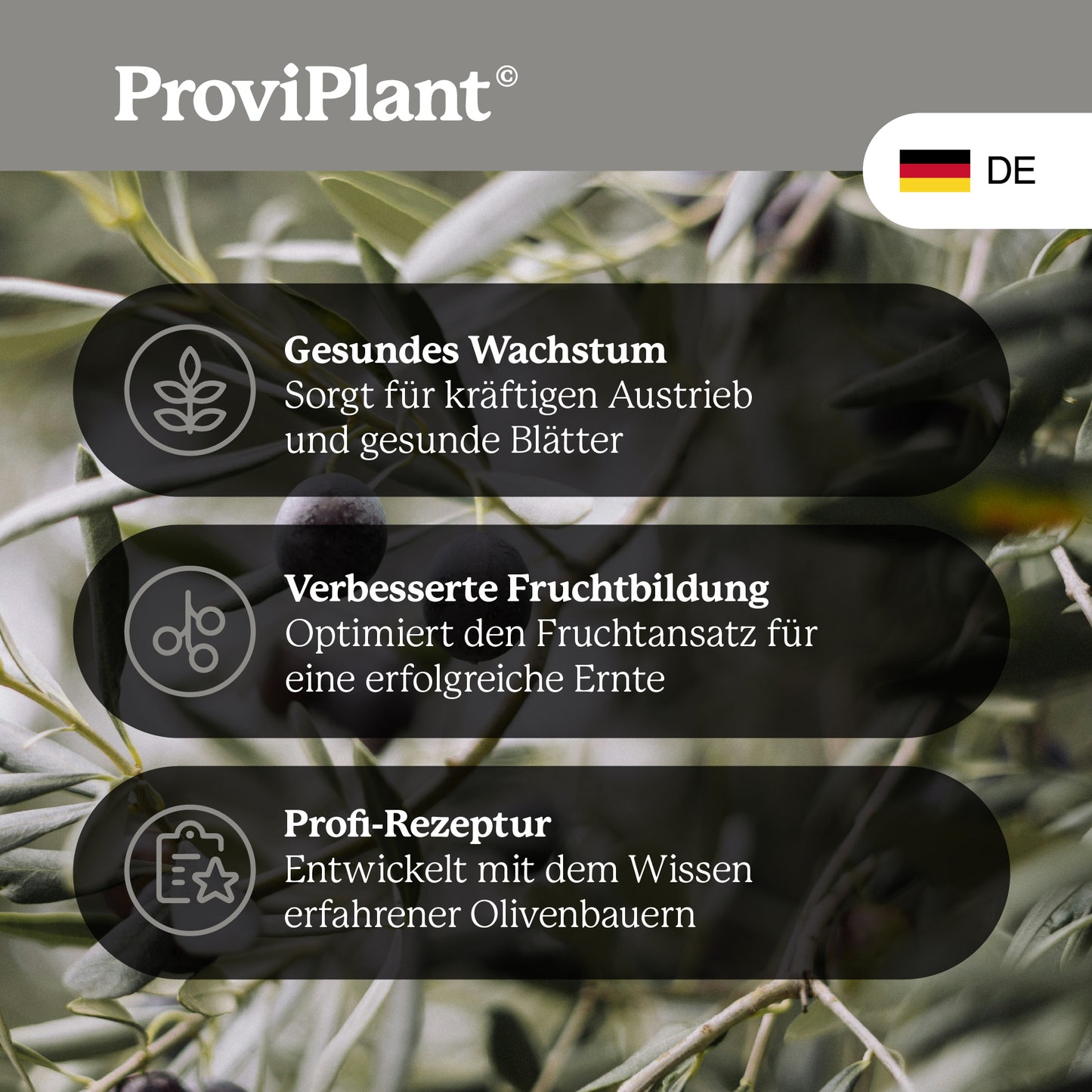 Olive fertilizer