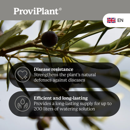 Olive fertilizer