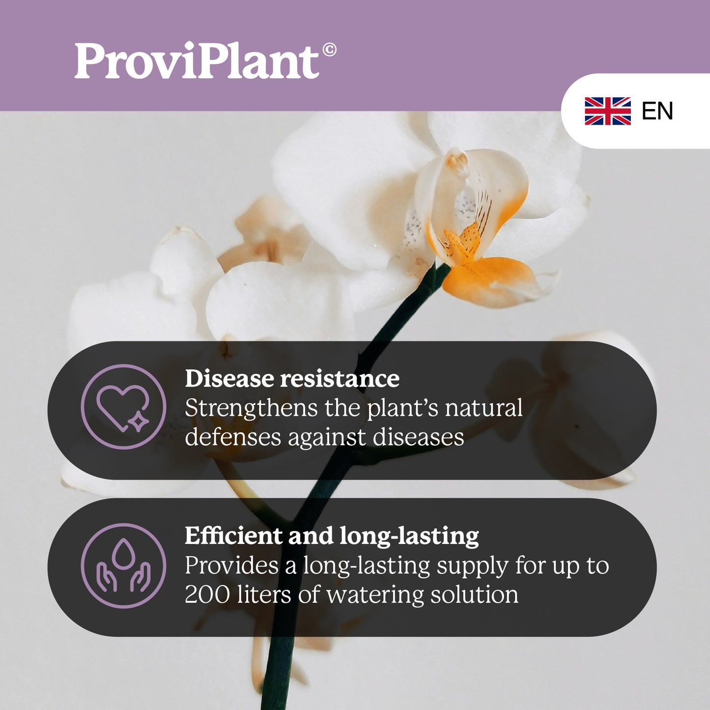Orchid fertilizer