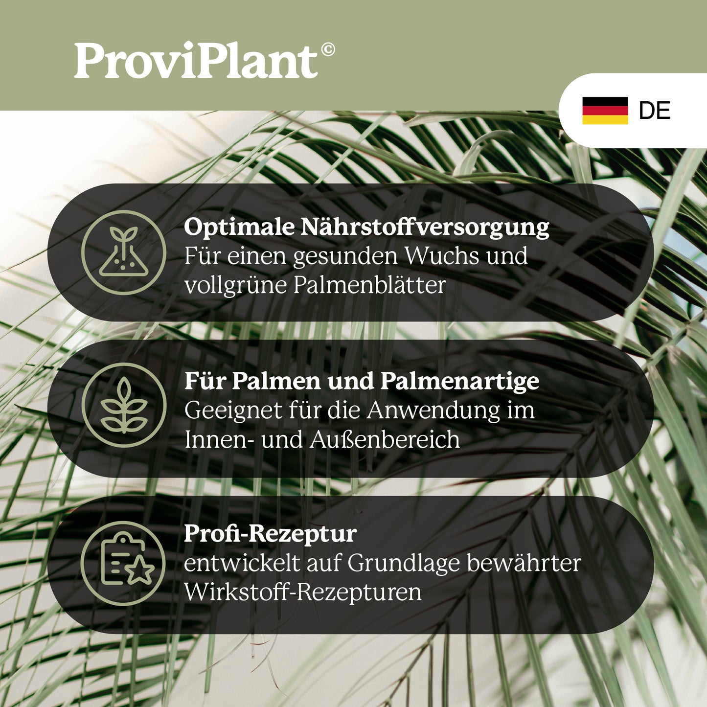 Palm fertilizer