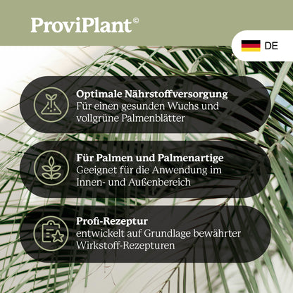 Palm fertilizer