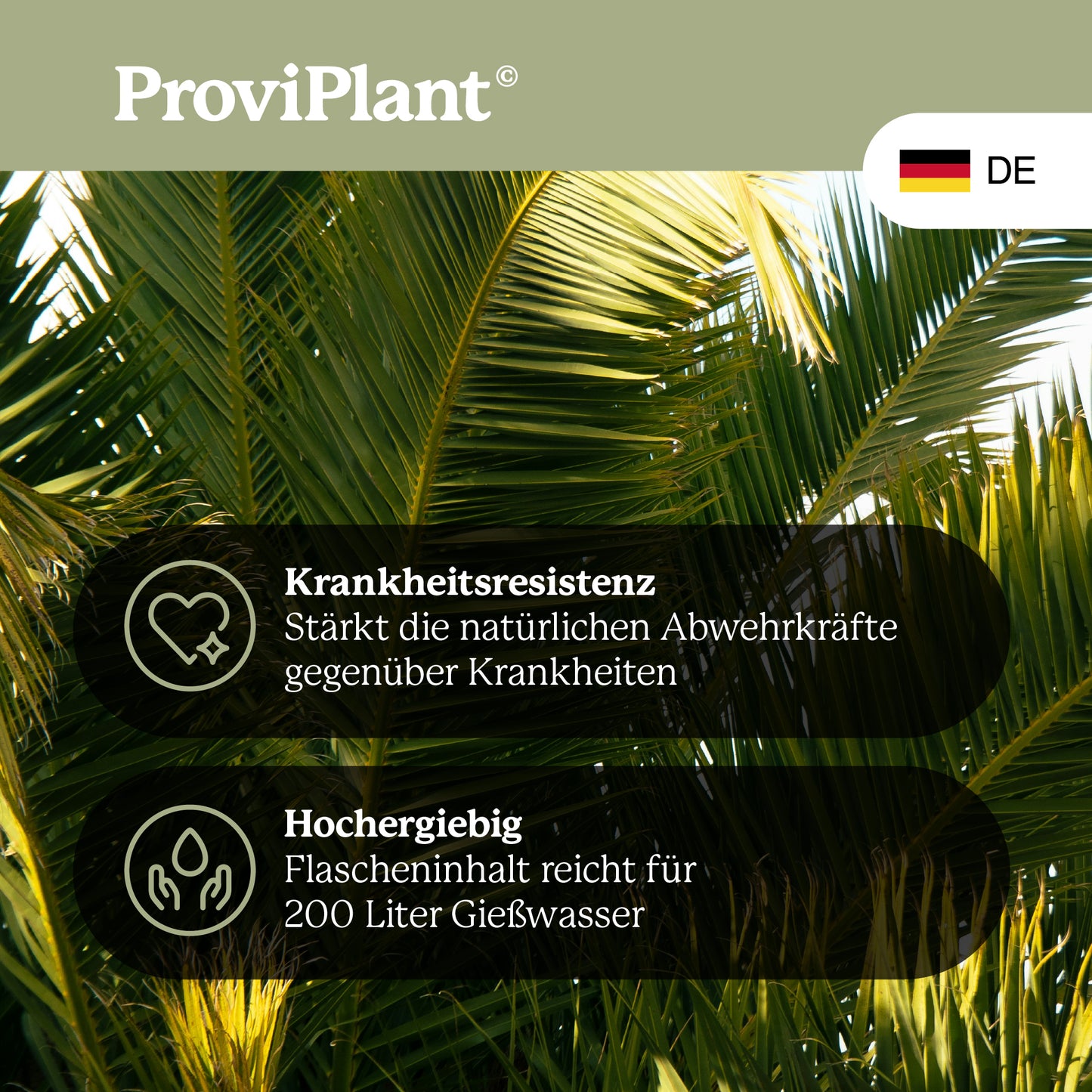 Palm fertilizer